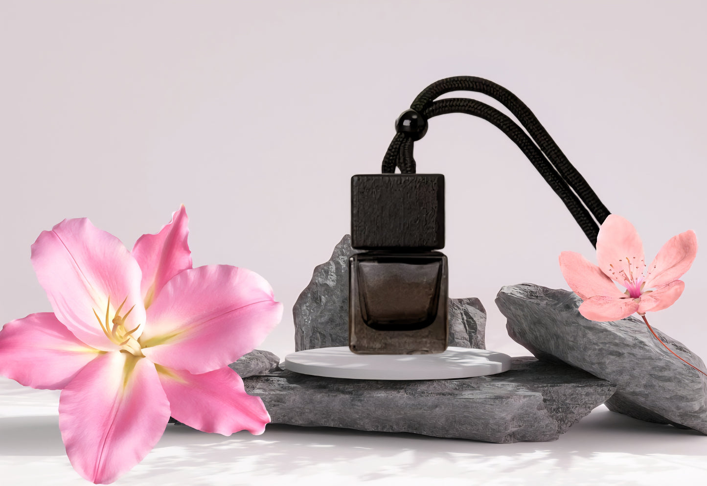 Diffuseur pour voiture •