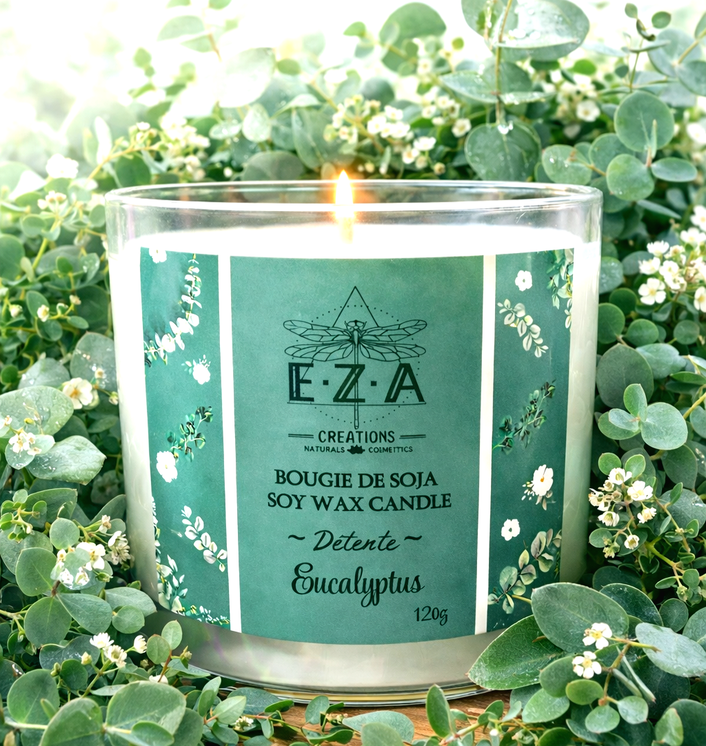 Fraîcheur d'eucalyptus🍃•