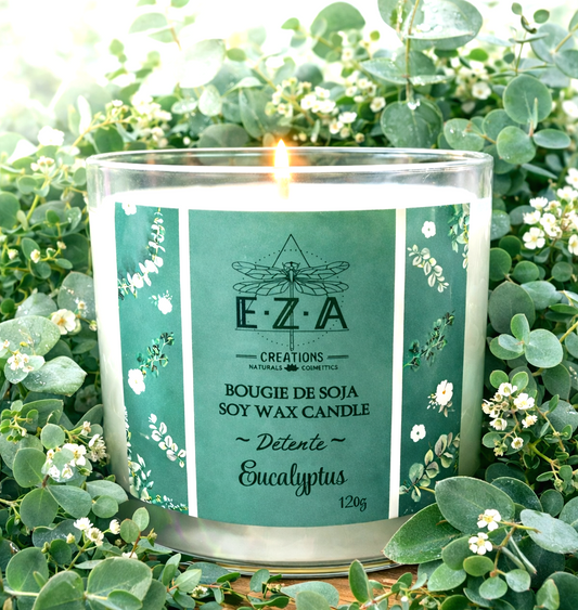 Fraîcheur d'eucalyptus🍃•